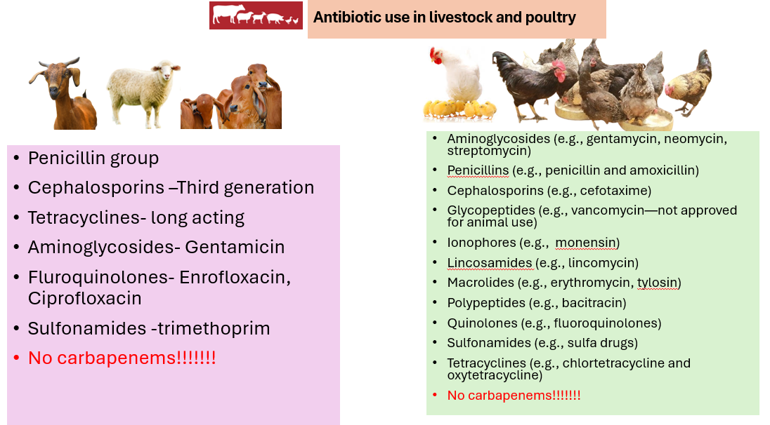 Slide 9